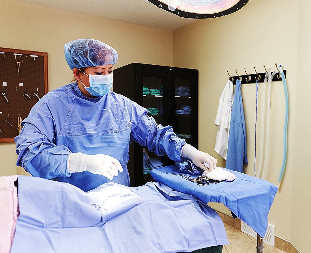Veterinary Apparel Company Surgical Supplies